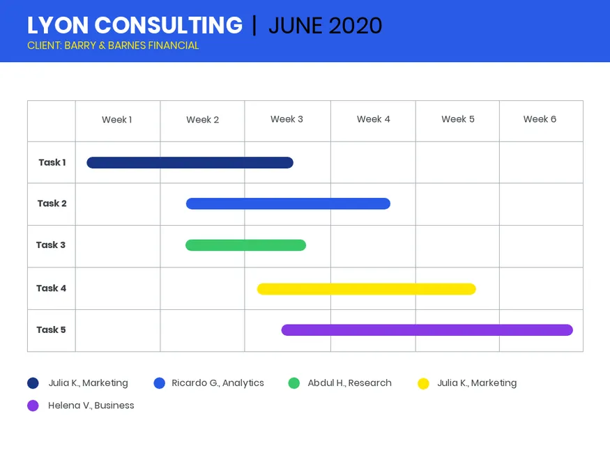 consultant project gantt chart